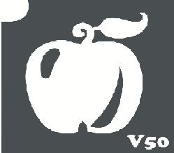 Трафарет для боди-арта 6*6см V050