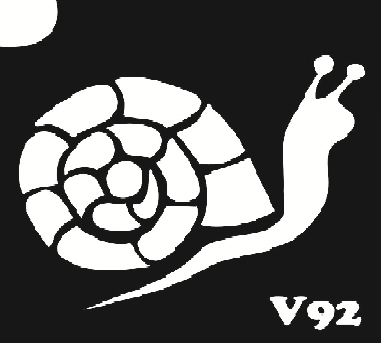 Трафарет для боди-арта 6*6см V092